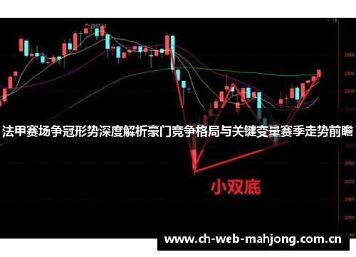 法甲赛场争冠形势深度解析豪门竞争格局与关键变量赛季走势前瞻